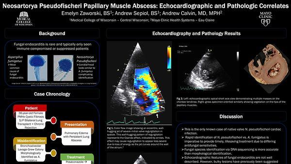 Neosartorya Pseudofischeri Papillary Muscle Abscess: Echocardiographic and Pathologic Correlates