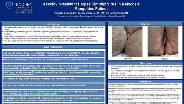 Acyclovir-resistant herpes simplex virus in a mycosis fungoides patient