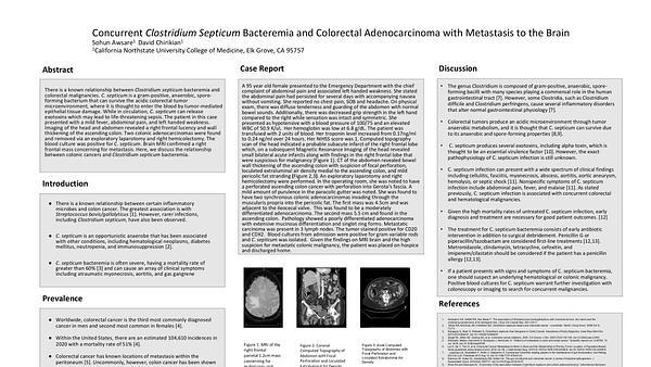 Concurrent Clostridium Septicum Bacteremia and Colorectal Adenocarcinoma with Metastasis to the Brain