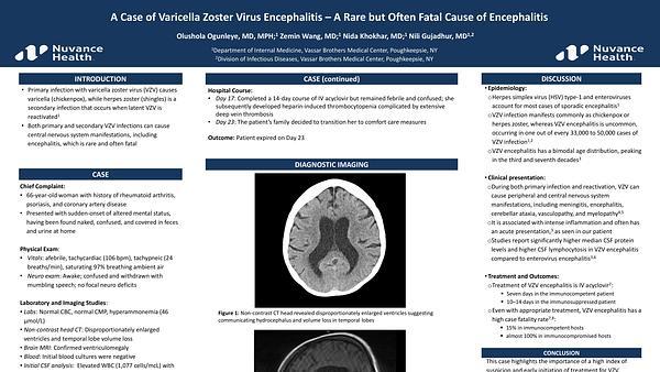 A Case of Varicella Zoster Virus Encephalitis – A Rare but Often Fatal Cause of Encephalitis