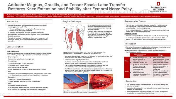Adductor Magnus, Gracilis, and Tensor Fascia Latae Transfer Restores Knee Extension and Stability after Femoral Nerve Palsy