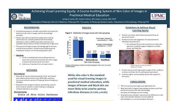 Achieving Visual Learning Equity: A Course Auditing System of Skin Color of Images in Preclinical Medical Education