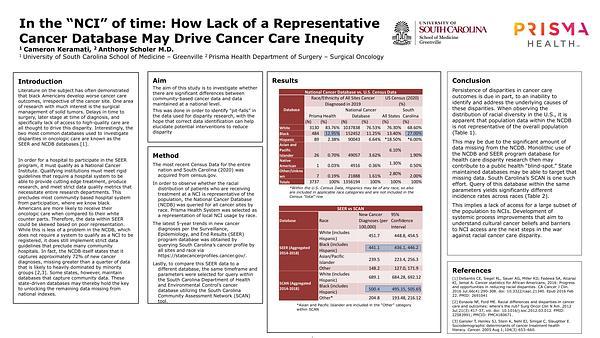 In the “NCI” of time: How Lack of a Representative Cancer Database May Drive Cancer Care Inequity