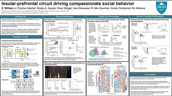 Insular-prefrontal circuit driving compassionate social behavior
