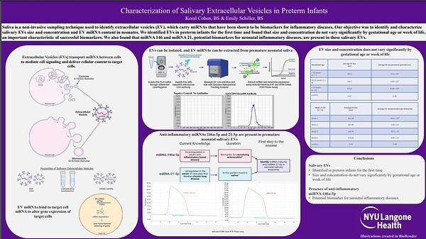Characterization of Salivary Extracellular Vesicles in Preterm Infants