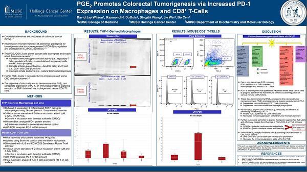 PGE2 Promotes Colorectal Tumorigenesis via Increased PD-1 Expression on Macrophages and CD8+ T-Cells