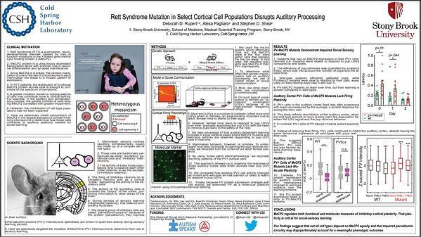 Rett Syndrome Mutation in Select Cortical Cell Populations Disrupts Auditory Processing