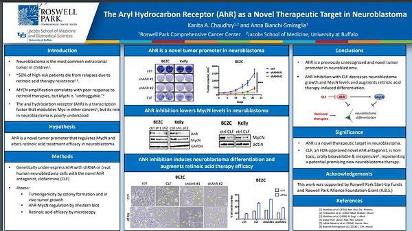 The Aryl Hydrocarbon Receptor (AhR) as a Novel Therapeutic Target in Neuroblastoma