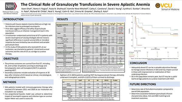 The Clinical Role of Granulocyte Transfusions in Severe Aplastic Anemia