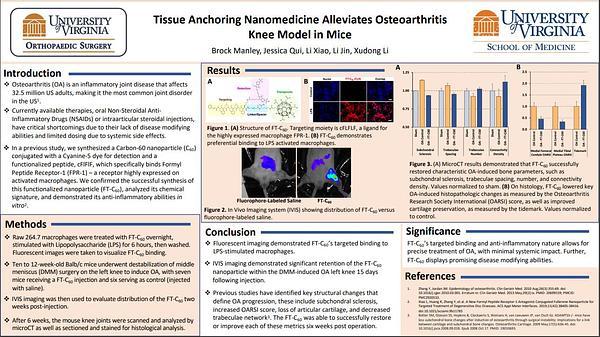 Tissue Anchoring Nanomedicine Alleviates Osteoarthritis Knee Model in Mice