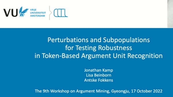 Perturbations and Subpopulations for Testing Robustness in Token-Based Argument Unit Recognition