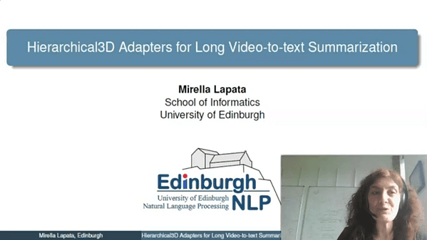 Hierarchical3D Adapters for Long Video-to-text Summarization