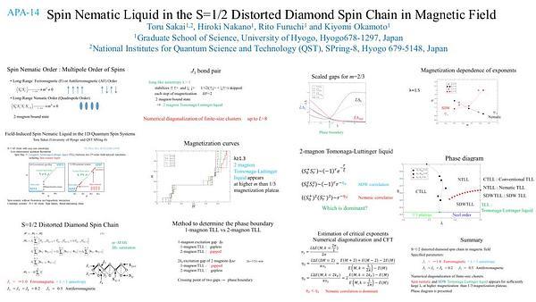 Spin Nematic Liquid of the S=1/2 Distorted Diamond Spin Chain in Magnetic Field