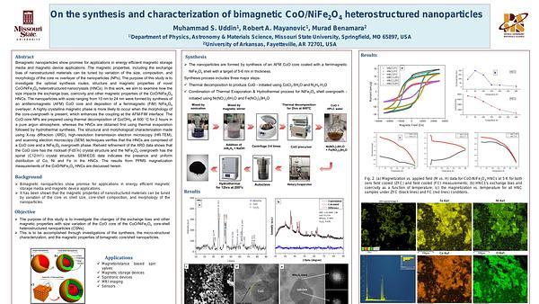 On the synthesis and characterization of bimagnetic CoO/NiFe2O4 heterostructured nanoparticles