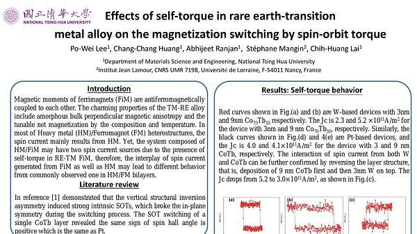 Effects of self torque in rare earth