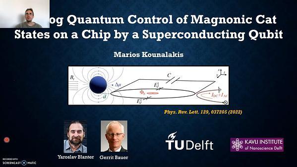 Analog quantum control of magnonic cat states on a