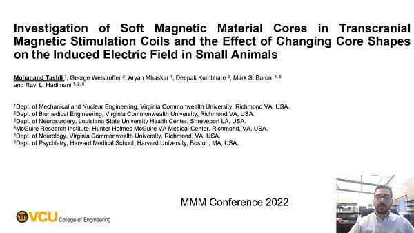 Investigation of Soft Magnetic Material Cores in Transcranial Magnetic Stimulation Coils and the Effect of Changing Core Shapes on the Induced Electrical Field in Small Animals