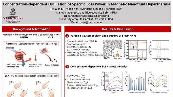 Concentration dependent Oscillation of Specific Loss Power in Magnetic Nanofluid Hyperthermia