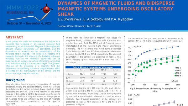 Dynamics of magnetic fluids and bidisperse magnetic systems undergoing oscillatory shear