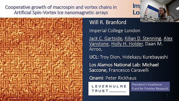 Cooperative growth of macrospin and vortex chains in Artificial Spin Vortex Ice nanomagnetic arrays