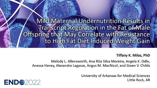 Mild Maternal Undernutrition Results in Transcript Regulation in the Fat of Male Offspring that Correlates with Resistance to High Fat Diet Induced Weight Gain
