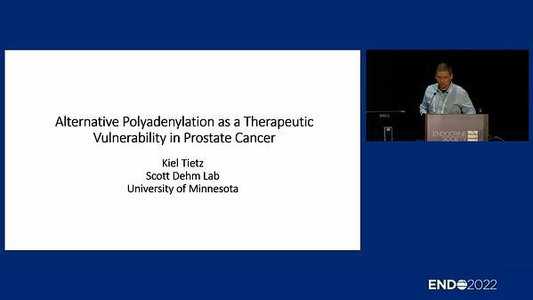 Alternative Polyadenylation as a Therapeutic Vulnerability in Prostate Cancer