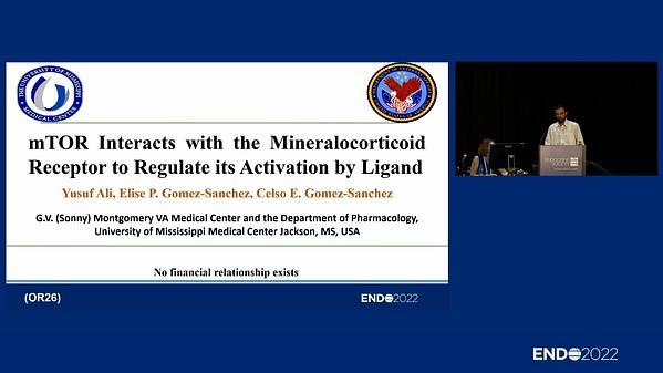 mTOR Interacts with the Mineralocorticoid Receptor to Regulate its Activation by Ligand