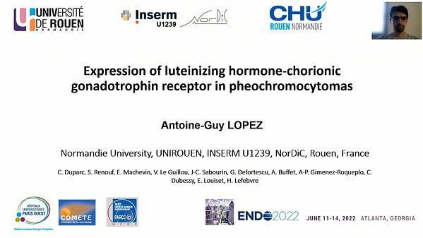Luteinizing Hormone-Chorionic Gonadotrophin Receptor in Pheochromocytomas