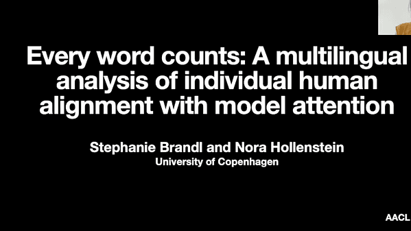 Every word counts: A multilingual analysis of individual human alignment with model attention