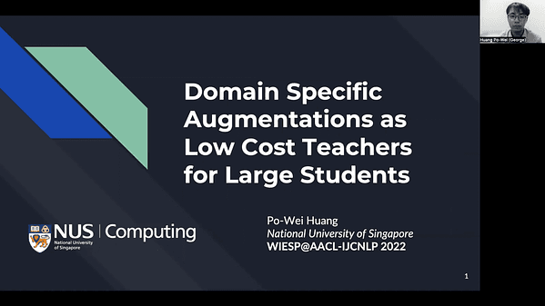Domain Specific Augmentations as Low Cost Teachers for Large Students