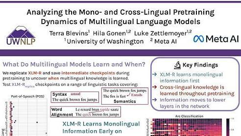 Analyzing the Mono- and Cross-Lingual Pretraining Dynamics of Multilingual Language Models