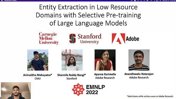 Entity Extraction in Low Resource Domains with Selective Pre-training of Large Language Models