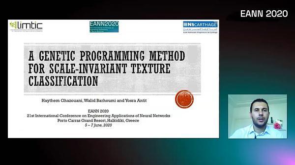 A Genetic Programming Method for Scale-Invariant Texture Classification