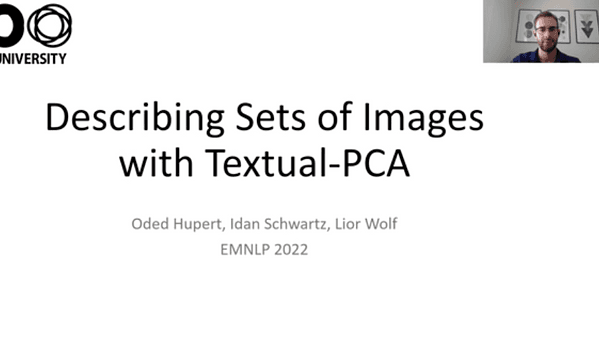 Describing Sets of Images with Textual-PCA