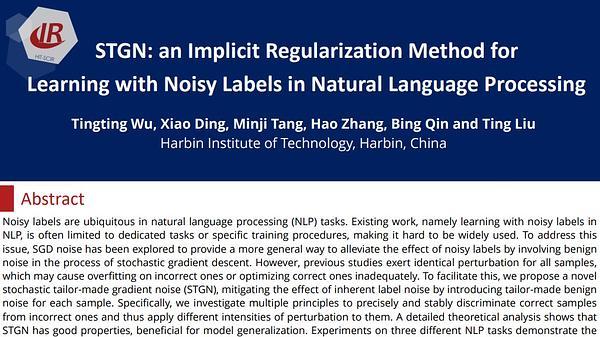 STGN: an Implicit Regularization Method for Learning with Noisy Labels in Natural Language Processing