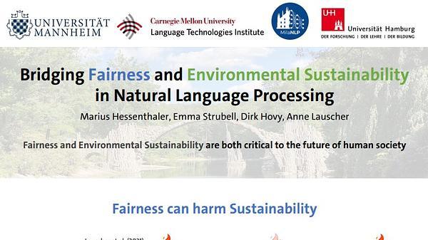Bridging Fairness and Environmental Sustainability in Natural Language Processing
