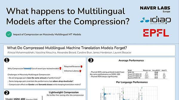 What Do Compressed Multilingual Machine Translation Models Forget?