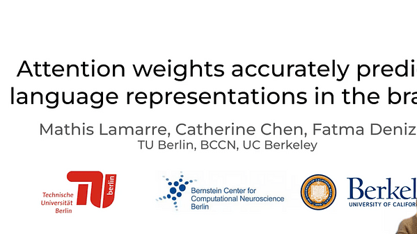 Attention weights accurately predict language representations in the brain