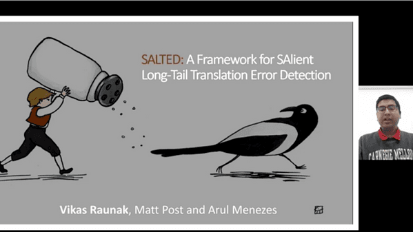 SALTED: A Framework for SAlient Long-tail Translation Error Detection