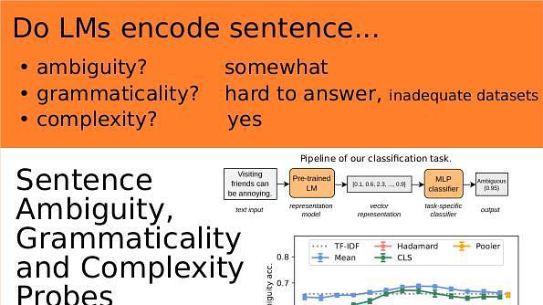 Sentence Ambiguity, Grammaticality and Complexity Probes