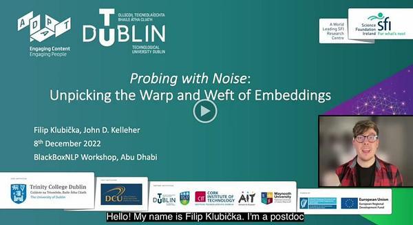 Probing with Noise: Unpicking the Warp and Weft of Embeddings