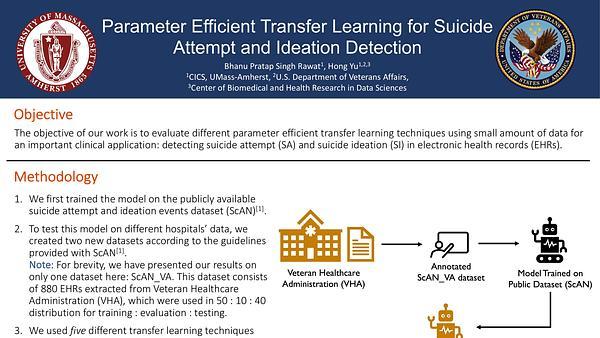 Parameter Efficient Transfer Learning for Suicide Attempt and Ideation Detection
