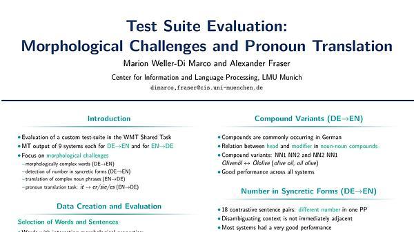 Test Suite Evaluation: Morphological Challenges and Pronoun Translation