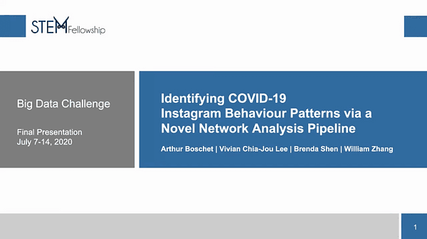 Identifying COVID-19 Instagram Behaviour Patterns via a Novel Network Analysis Pipeline