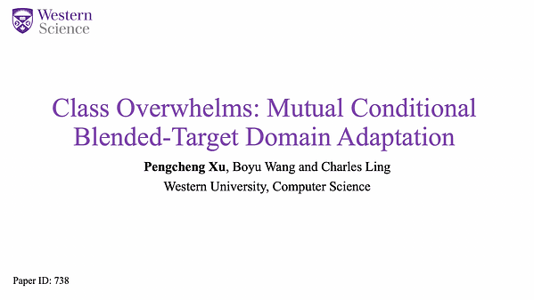 Class Overwhelms: Mutual Conditional Blended-Target Domain Adaptation