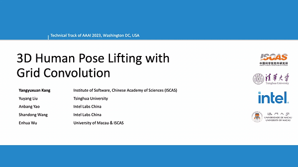 3D Human Pose Lifting with Grid Convolution