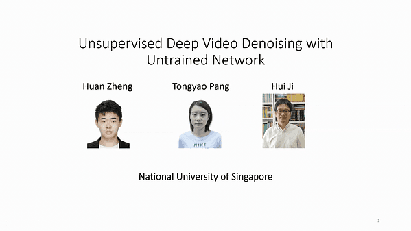 Unsupervised Deep Video Denoising with Untrained Network