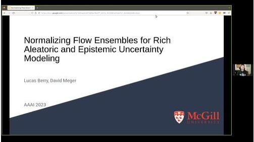Normalizing Flow Ensembles for Rich Aleatoric and Epistemic Uncertainty Modeling