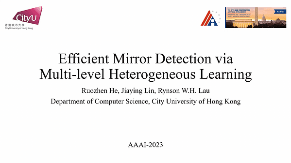 Efficient Mirror Detection via Multi-level Heterogeneous Learning