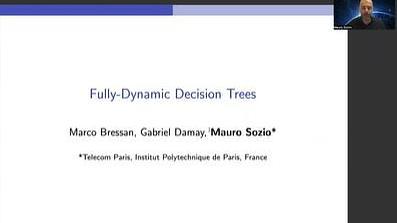 Fully-Dynamic Decision Trees